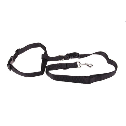 Durable Leash for Canine Early Jogging