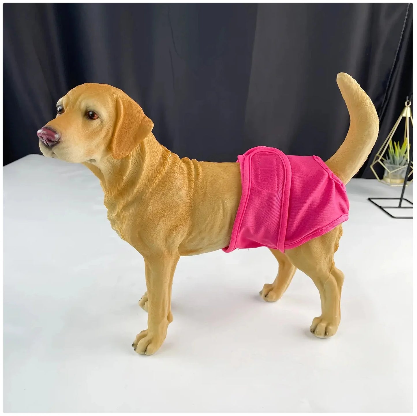 Reusable Female Dog Diaper - Adjustable Sanitary Pants for Dogs in Heat