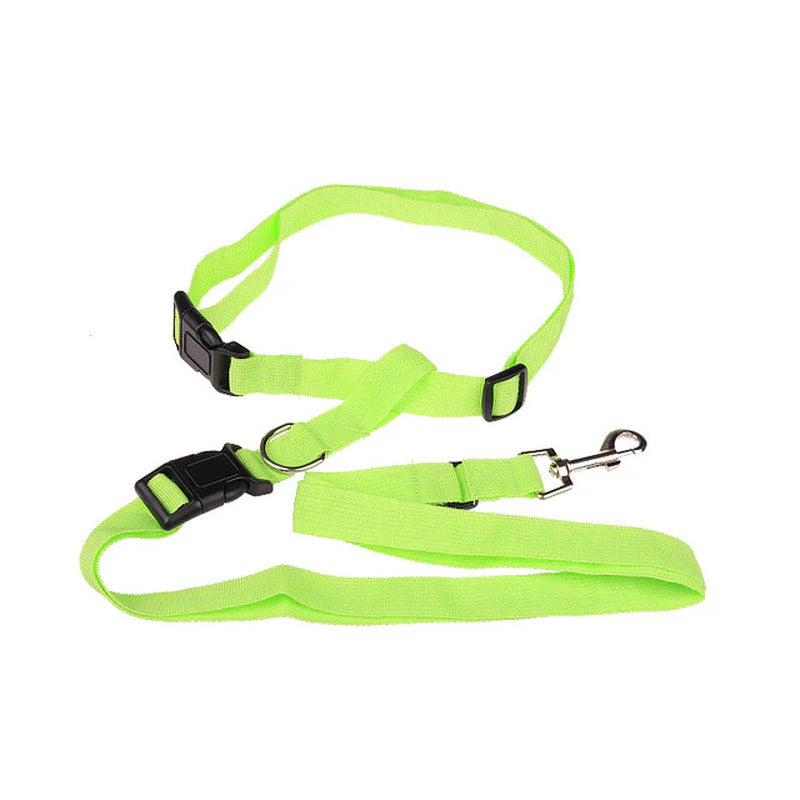 Durable Leash for Canine Early Jogging