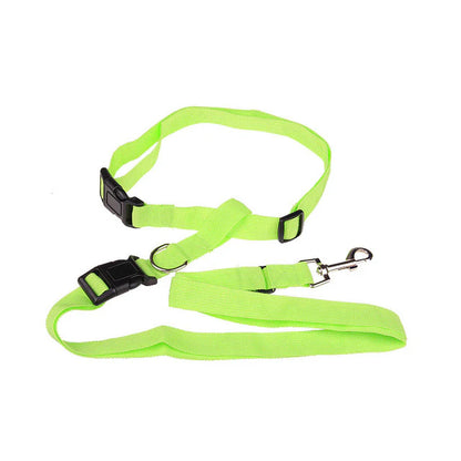 Durable Leash for Canine Early Jogging