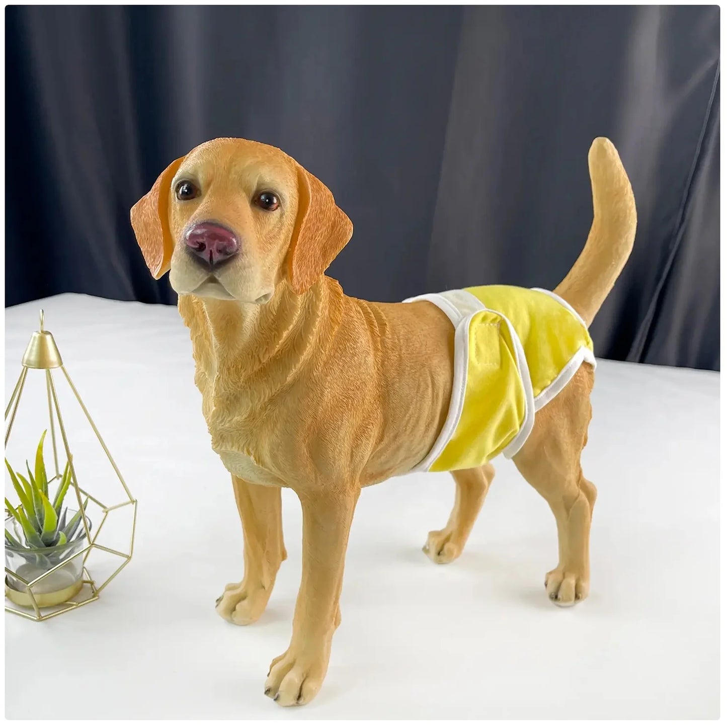 Reusable Female Dog Diaper - Comfortable Sanitary Pants for Dogs in Heat