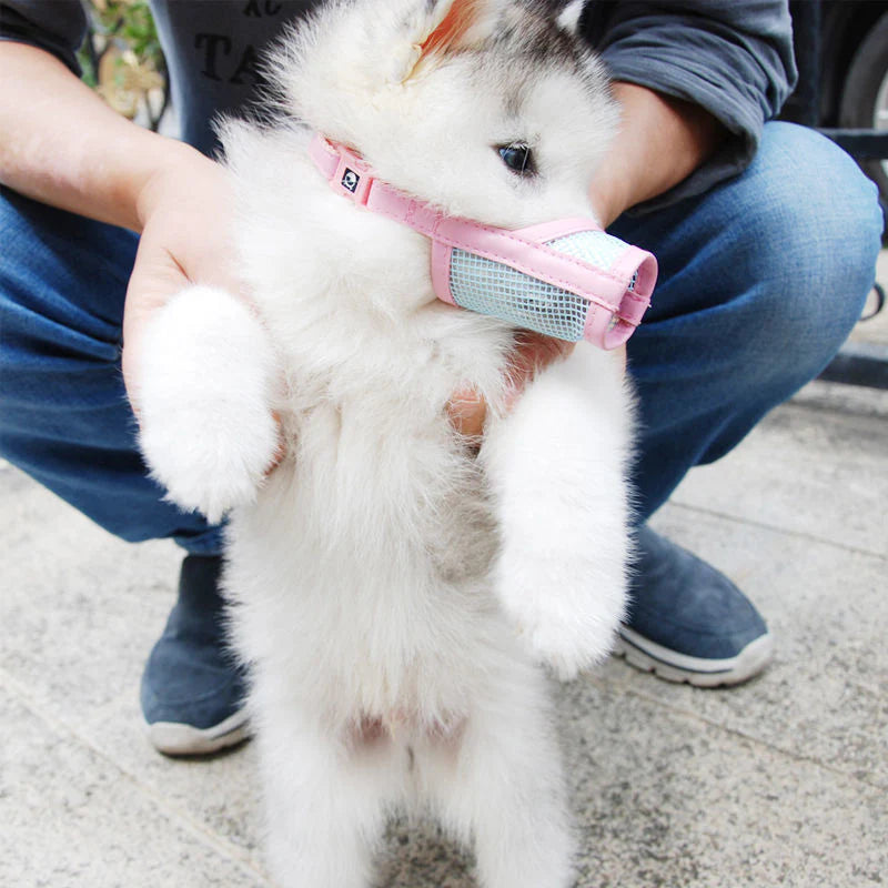 Gentle Fabric Mesh Airy Canine Snout Cover