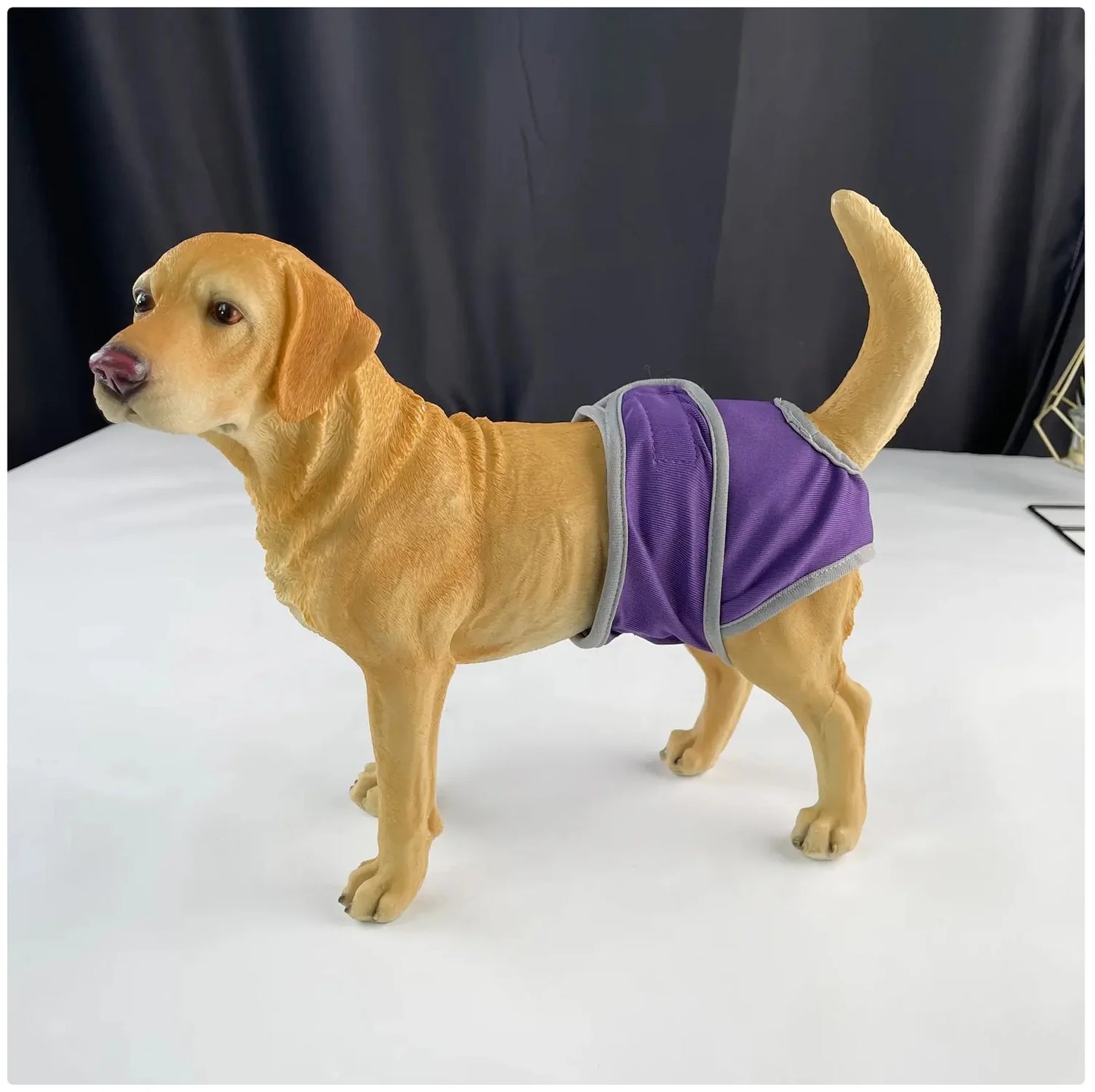 Reusable Female Dog Diaper - Adjustable Sanitary Pants for Dogs in Heat