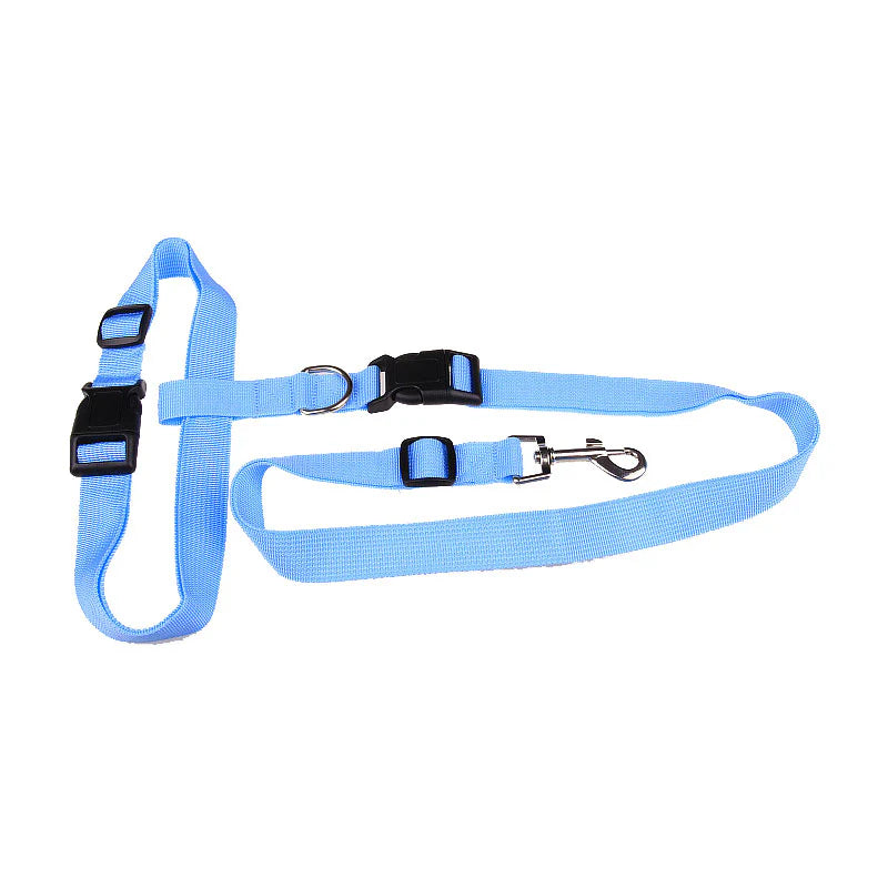 Durable Leash for Canine Early Jogging