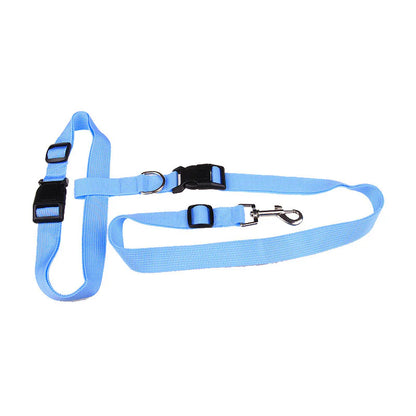 Durable Leash for Canine Early Jogging