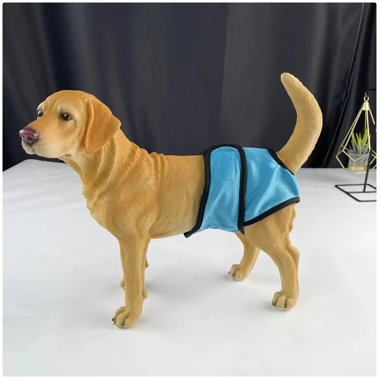 Reusable Female Dog Diaper - Adjustable Sanitary Pants for Dogs in Heat