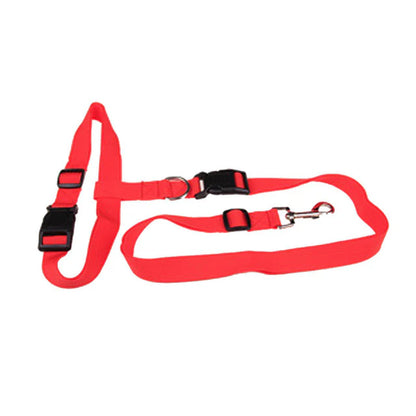 Durable Leash for Canine Early Jogging