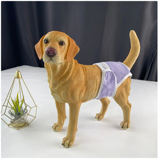 Reusable Female Dog Diaper - Comfortable Sanitary Pants for Dogs in Heat