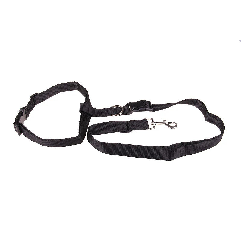 Durable Leash for Canine Early Jogging