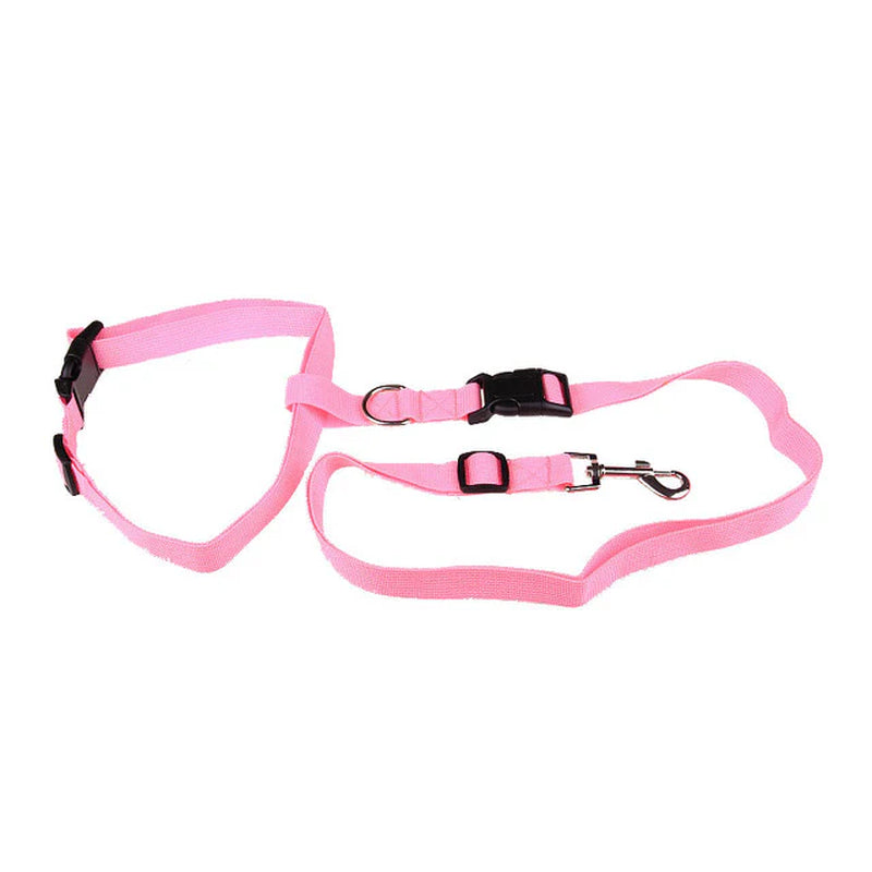 Durable Leash for Canine Early Jogging