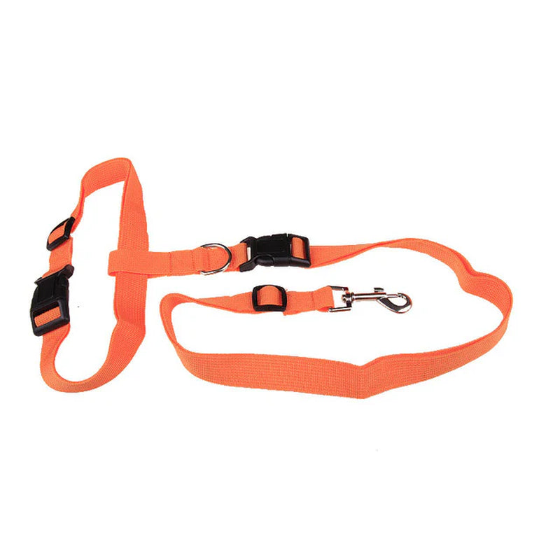 Durable Leash for Canine Early Jogging