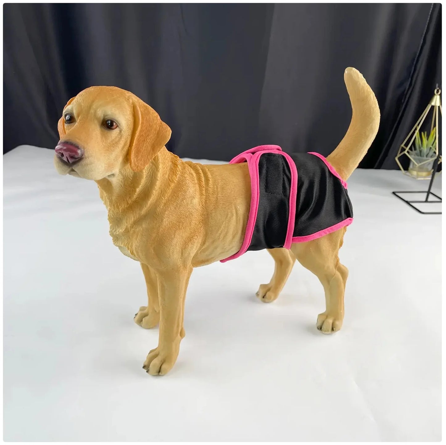 Reusable Female Dog Diaper - Adjustable Sanitary Pants for Dogs in Heat