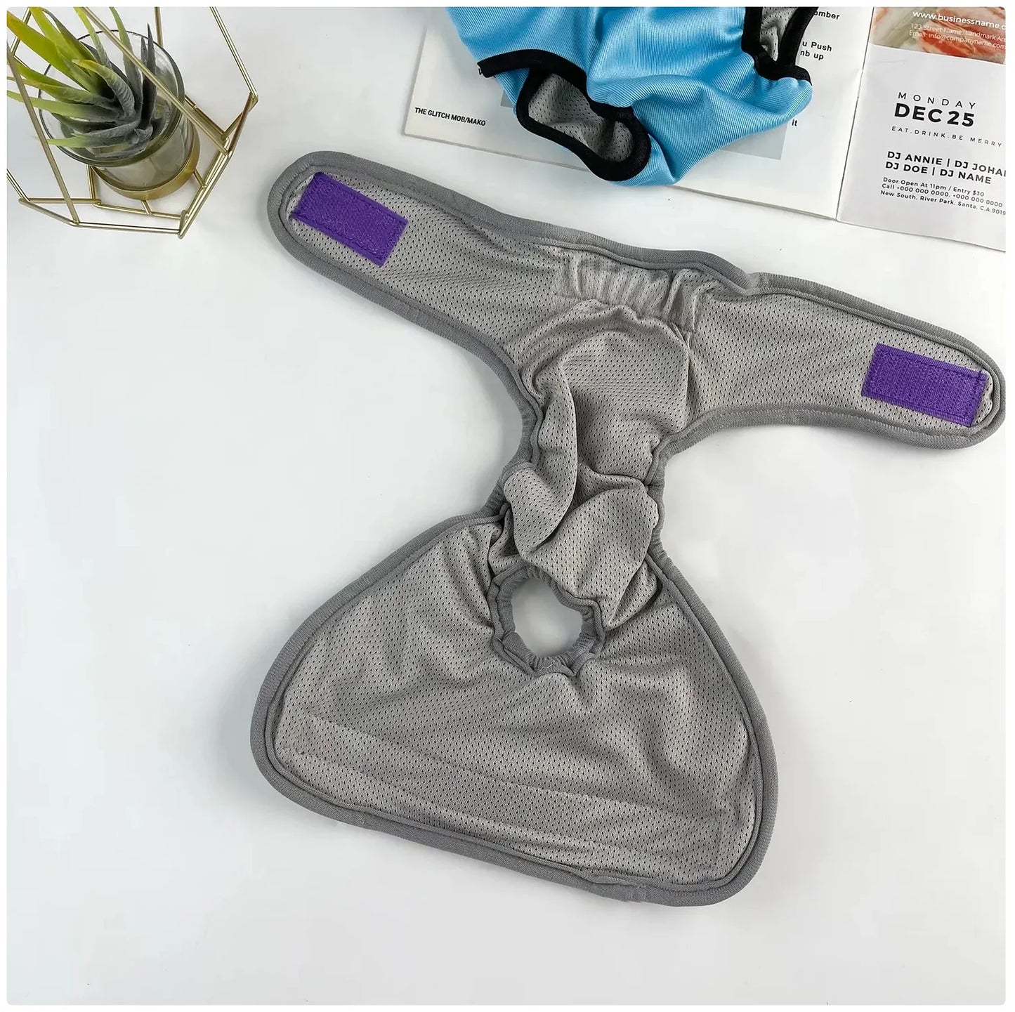 Reusable Female Dog Diaper - Adjustable Sanitary Pants for Dogs in Heat